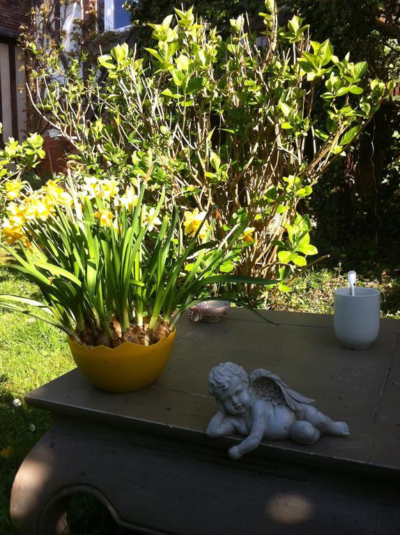 La Maison De La Plage - La Cerisaie Bed & Breakfast องเฟลอร์ ภายนอก รูปภาพ